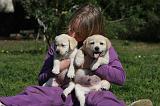 ENFANT ET CHIEN 401